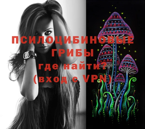 мдпв Армянск