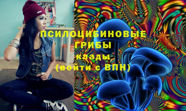 мдпв Армянск